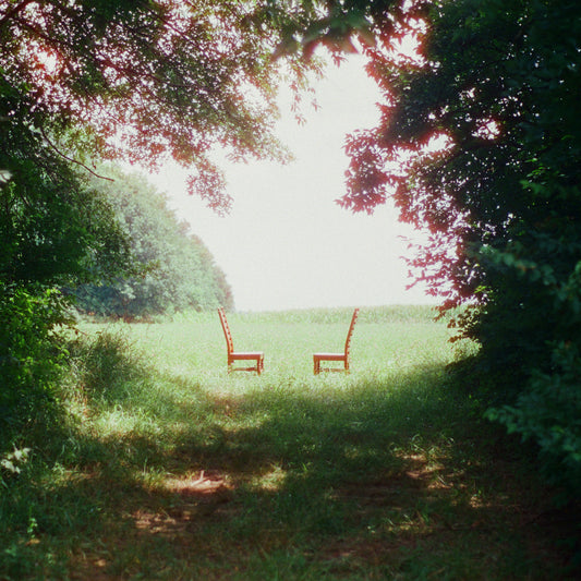 Ratboys - Singin' To An Empty Chair (Green Cassette) |