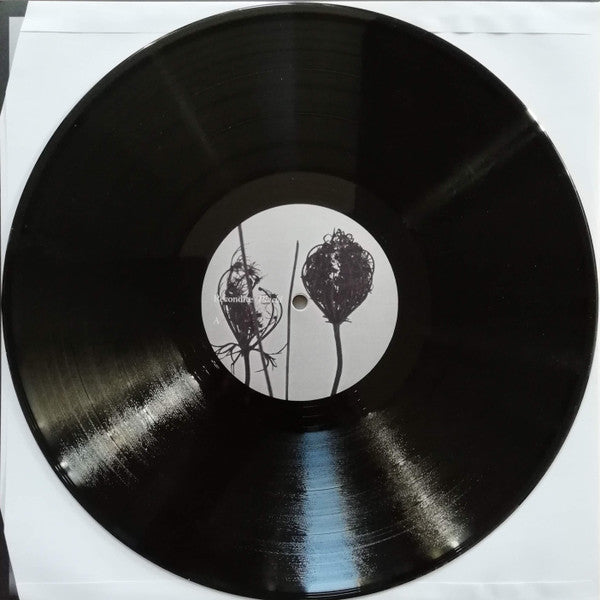 Placid | Mint (M) Near Mint (NM)