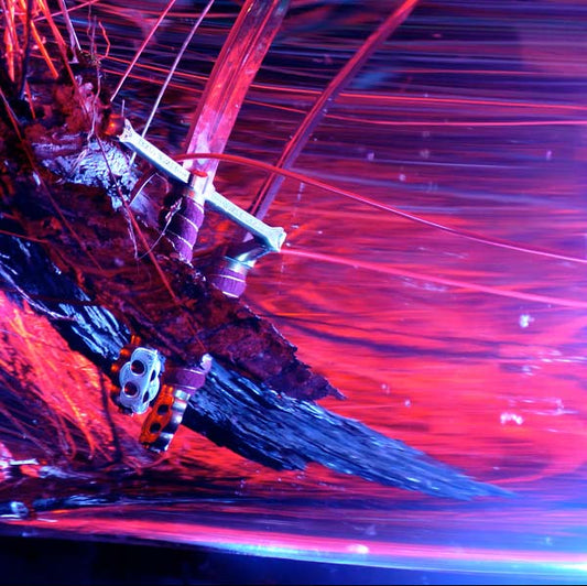 Navigating by Starlight |