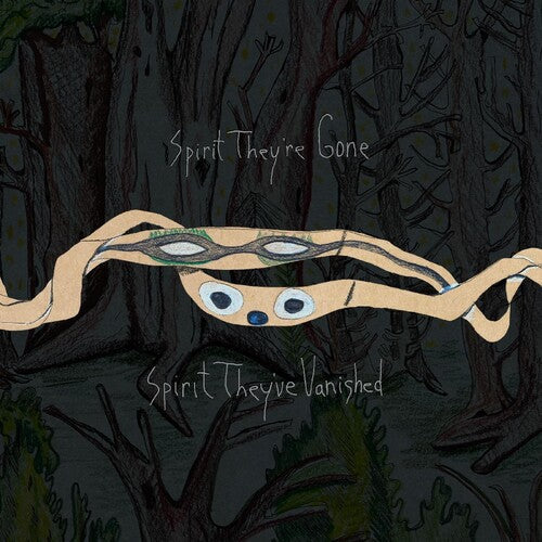 Animal Collective - Spirit They're Gone, Spirit They've Vanished (Indie Exclusive, Colored Vinyl, Green, Remastered, Digital Download Card) | Mint (M) Mint (M)