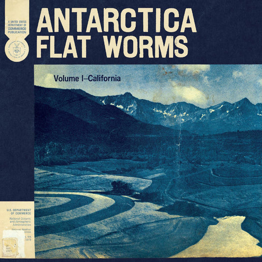 Flat Worms - Antarctica |