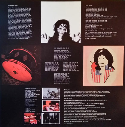The Kills - Midnight Boom (VINYL) | Mint (M) Mint (M)