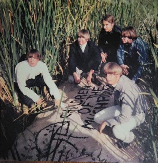 Children Of The Mushroom (VINYL) | Mint (M) Mint (M)