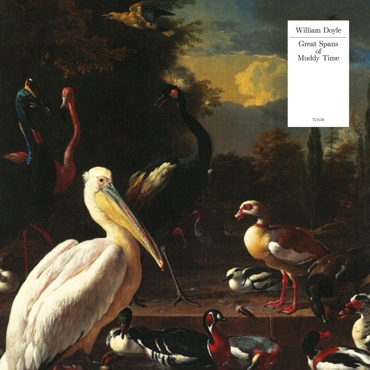 Doyle, William - Great Spans Of Muddy Time (WHITE VINYL) | Mint (M) Mint (M)
