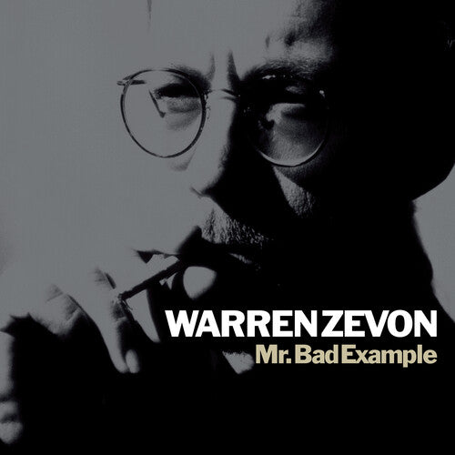 Mr. Bad Example (RKTBR25) (VINYL) | Mint (M) Mint (M)