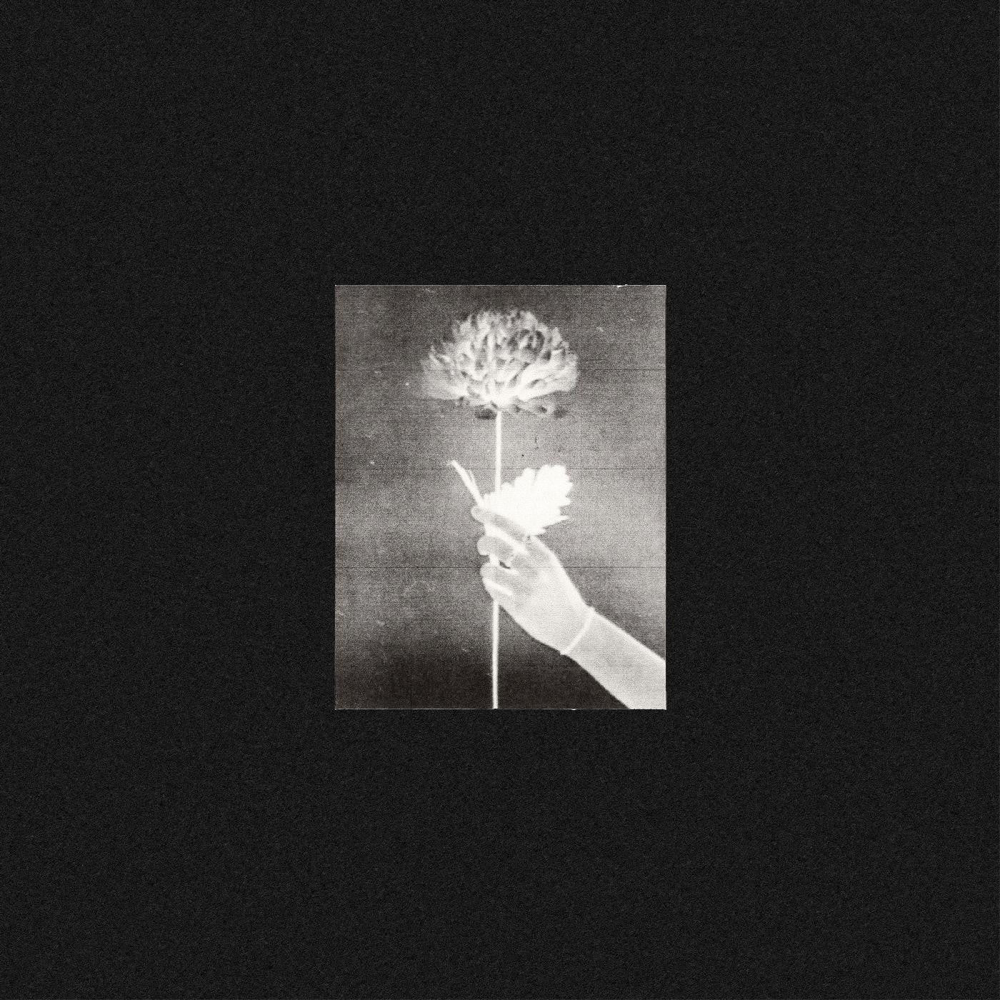 White Flowers - Day By Day (BLUE VINYL) |