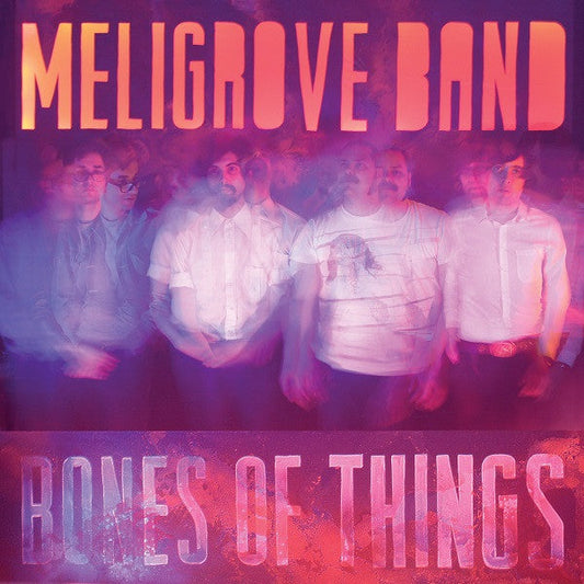 Meligrove Band - Bones of Things |