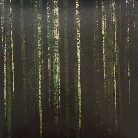The Paper Kites - Evergreen (EVERGREEN MARBLE VINYL) | Mint (M) Mint (M)