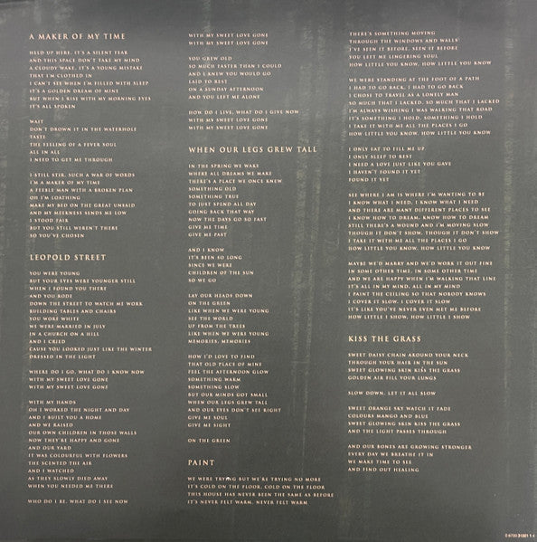 The Paper Kites - Evergreen (EVERGREEN MARBLE VINYL) | Mint (M) Mint (M)