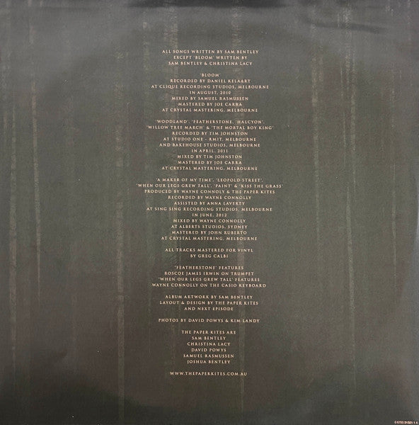 The Paper Kites - Evergreen (EVERGREEN MARBLE VINYL) | Mint (M) Mint (M)