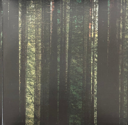 Evergreen (EVERGREEN MARBLE VINYL) | Mint (M) Mint (M)