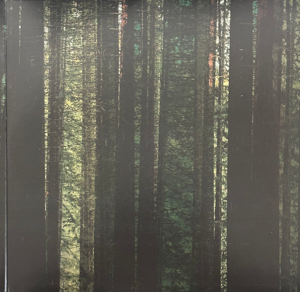 The Paper Kites - Evergreen (EVERGREEN MARBLE VINYL) | Mint (M) Mint (M)