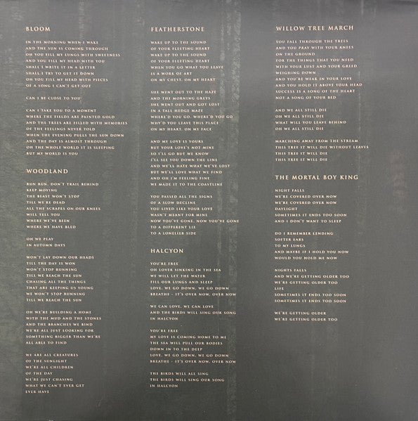The Paper Kites - Evergreen (EVERGREEN MARBLE VINYL) | Mint (M) Mint (M)