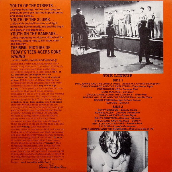 Teen-Age Riot! (50,000,000 Delinquents Can't Be Wrong!!!)(VINYL) |