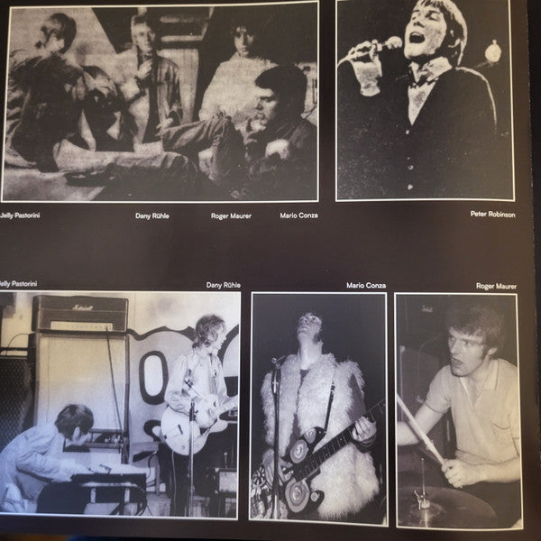 Walpurgis (VINYL) | Mint (M) Mint (M)