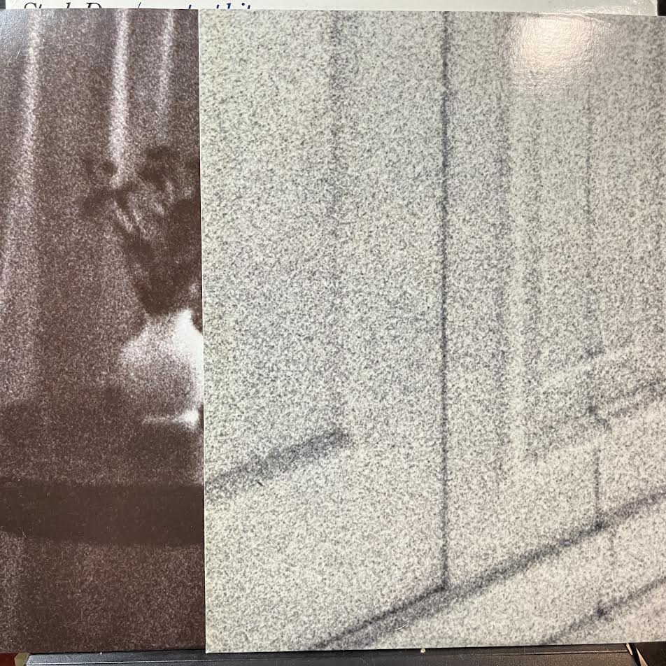 Steely Dan - Steely Dan/Greatest Hits (2xVINYL) | Excellent+ (EX+) Excellent (EX)