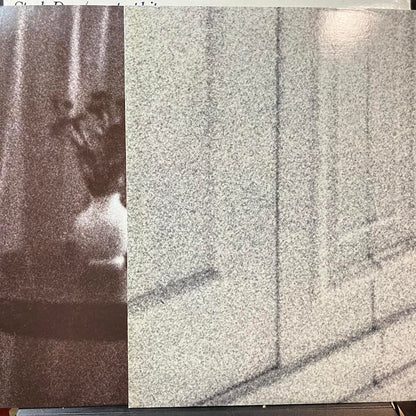 Steely Dan - Steely Dan/Greatest Hits (2xVINYL) | Excellent+ (EX+) Excellent (EX)