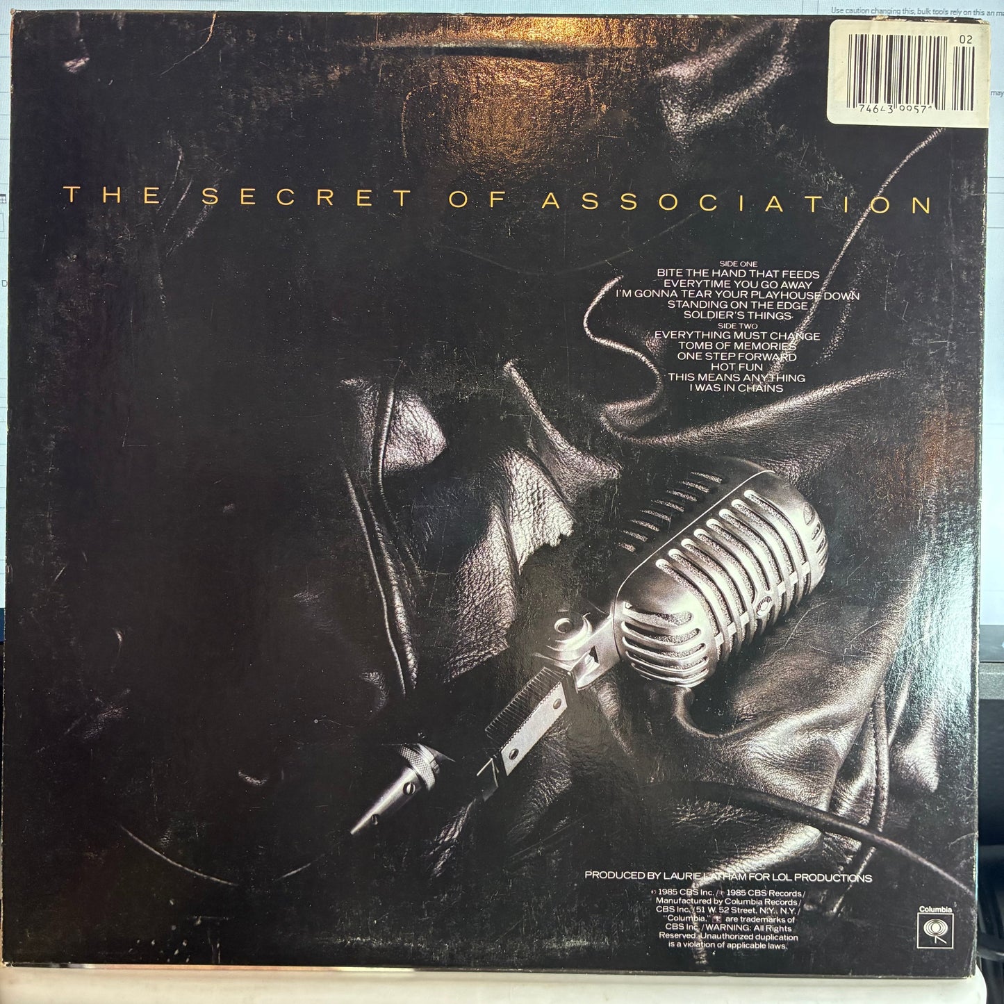 Paul Young - The Secret Of Association (VINYL) | Excellent (EX) Excellent (EX)