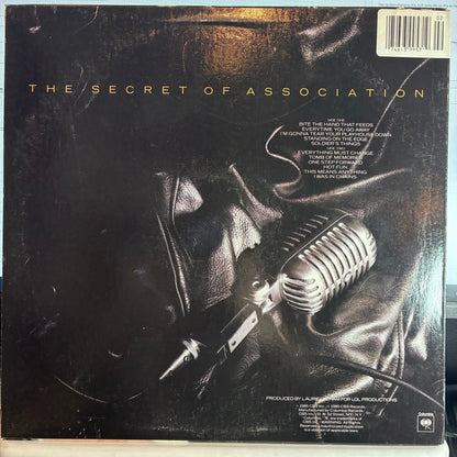 Paul Young - The Secret Of Association (VINYL) | Excellent (EX) Excellent (EX)