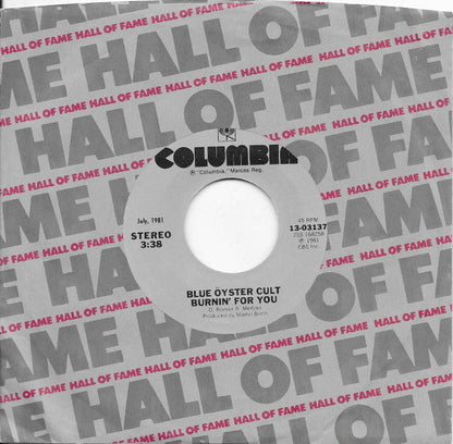 Blue Öyster Cult - (Don't Fear) The Reaper (7" VINYL) | Excellent (EX) Excellent (EX)