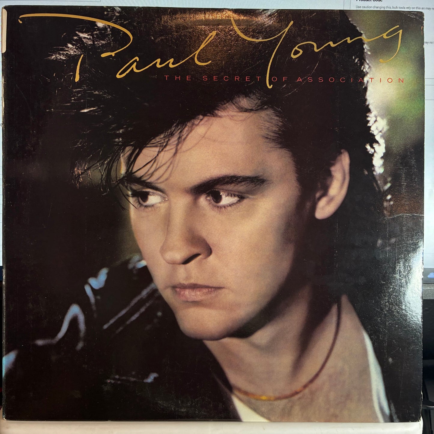 Paul Young - The Secret Of Association (VINYL) | Excellent (EX) Excellent (EX)