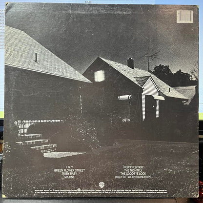 Donald Fagen - The Nightfly (VINYL) | Near Mint- (NM-) Excellent (EX)