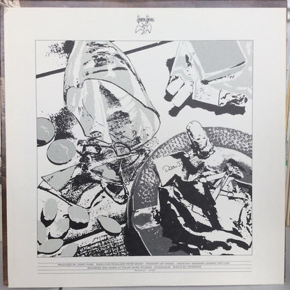 Led Zeppelin - In Through The Out Door (VINYL) | Near Mint (NM) Near Mint (NM)