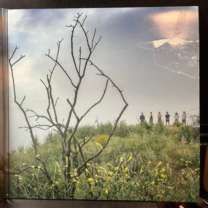 King Gizzard And The Lizard Wizard - Ice, Death, Planets, Lungs, Mushrooms And Lava (2xVINYL) | Near Mint (NM) Very Good Plus Plus (VG++)