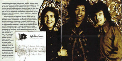 The Jimi Hendrix Experience - Are You Experienced (CD) | Near Mint (NM or M-) Near Mint (NM)