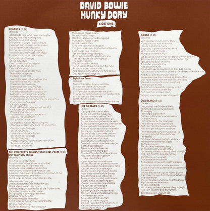 David Bowie - Hunky Dory (VINYL) | Near Mint (NM) Near Mint (NM)