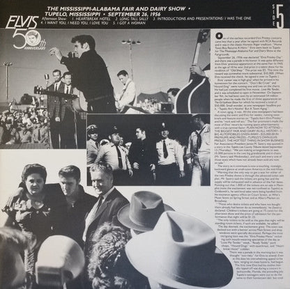 Elvis Presley - A Golden Celebration (VINYL BOX SET) | Near Mint (NM or M-) Excellent (EX)