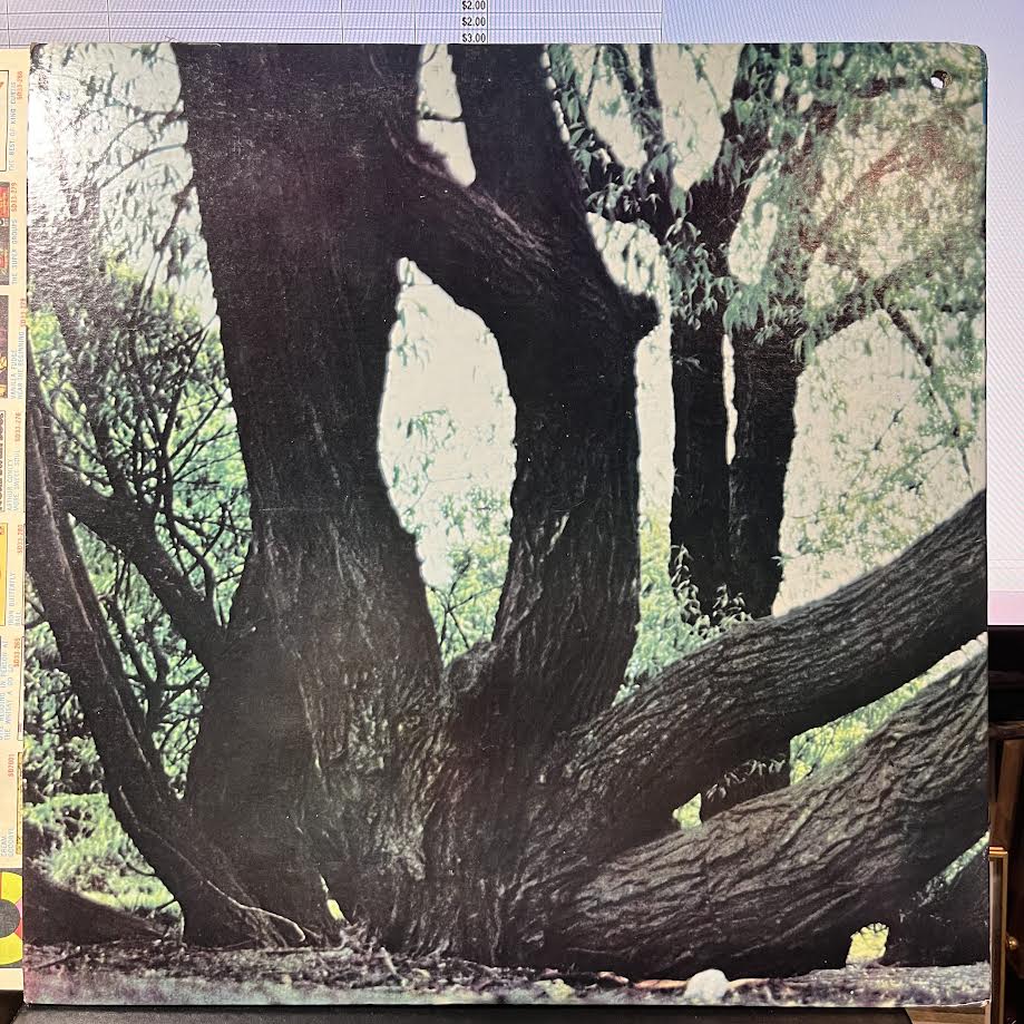 Fat Mattress - Fat Mattress (VINYL) | Near Mint (NM) Near Mint (NM)