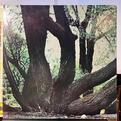 Fat Mattress - Fat Mattress (VINYL) | Near Mint (NM) Near Mint (NM)