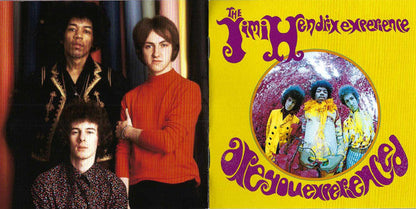 The Jimi Hendrix Experience - Are You Experienced (CD) | Near Mint (NM or M-) Near Mint (NM)