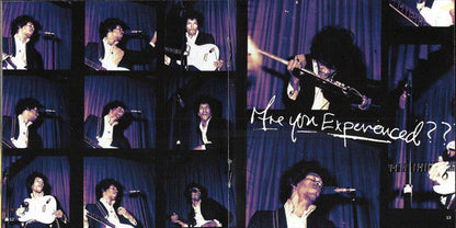The Jimi Hendrix Experience - Are You Experienced (CD) | Near Mint (NM or M-) Near Mint (NM)