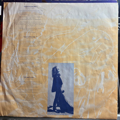 Robert Plant - Now And Zen (VINYL) | Near Mint (NM or M-) Very Good Plus (VG+)