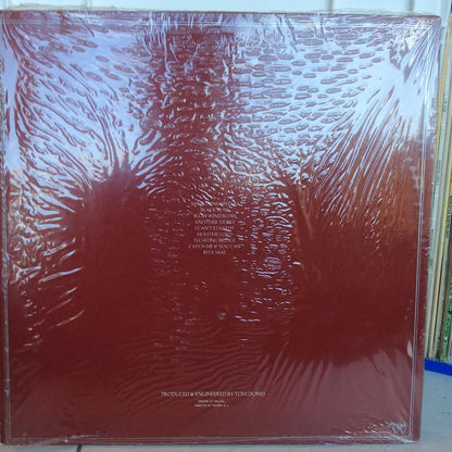 Eric Clapton - Another Ticket (VINYL) | Near Mint (NM) Near Mint (NM)