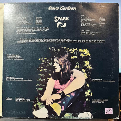 Dave Carlsen - Pale Horse (VINYL) | Near Mint (NM) Near Mint- (NM-)