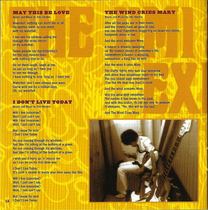 The Jimi Hendrix Experience - Are You Experienced (CD) | Near Mint (NM or M-) Near Mint (NM)