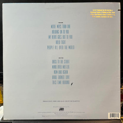 Peter Frampton - When All The Pieces Fit (VINYL) | Near Mint (NM) Near Mint (NM)