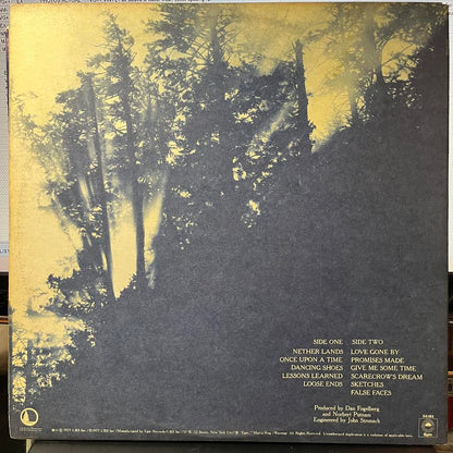 Dan Fogelberg - Nether Lands (VINYL) | Near Mint (NM or M-)