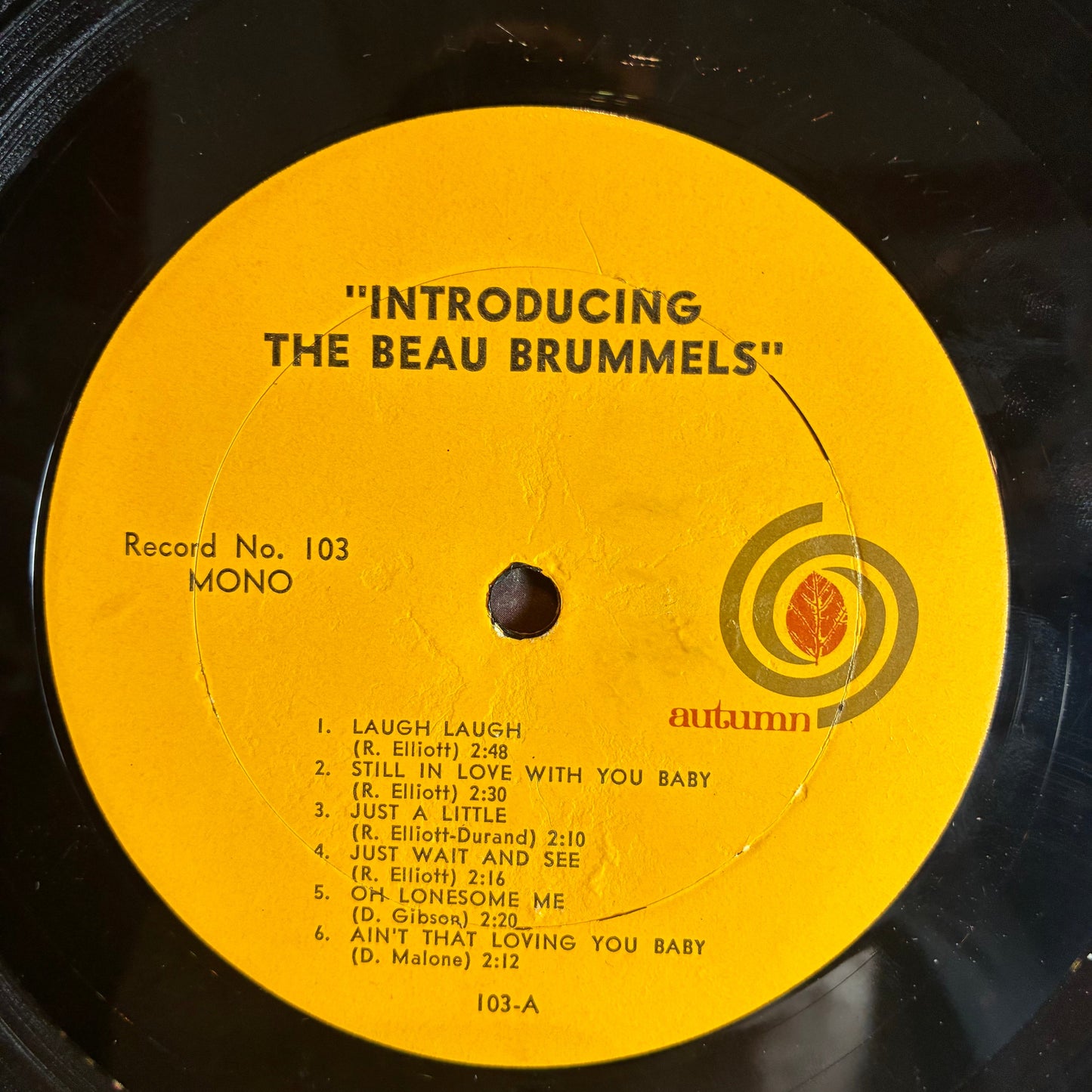 The Beau Brummels - Introducing The Beau Brummels (VINYL) | Very Good Plus (VG+) Very Good Plus (VG+)