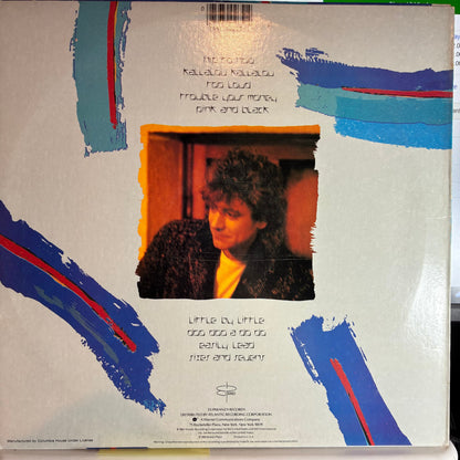 Robert Plant - Shaken 'N' Stirred (VINYL) | Very Good Plus (VG+) Very Good Plus (VG+)