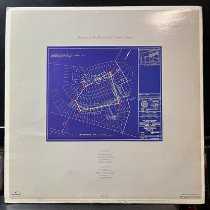Rush - Signals (VINYL) | Very Good Plus (VG+) Excellent (EX)