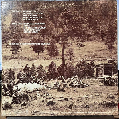 Joe Walsh - Barnstorm (VINYL) | Excellent+ (EX+)