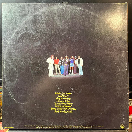 Lynyrd Skynyrd - Street Survivors (VINYL) | Very Good Plus (VG+) Very Good Plus (VG+)