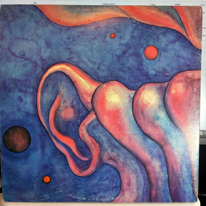 King Crimson - In The Court Of The Crimson King (An Observation By King Crimson) (VINYL) | Very Good Plus (VG+) Excellent (EX)