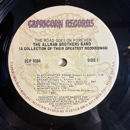 The Allman Brothers Band - The Road Goes On Forever (VINYL) | Very Good Plus (VG+) Excellent (EX)