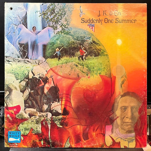 J. K. & Co. - Suddenly One Summer (VINYL) | Very Good (VG) Excellent (EX)