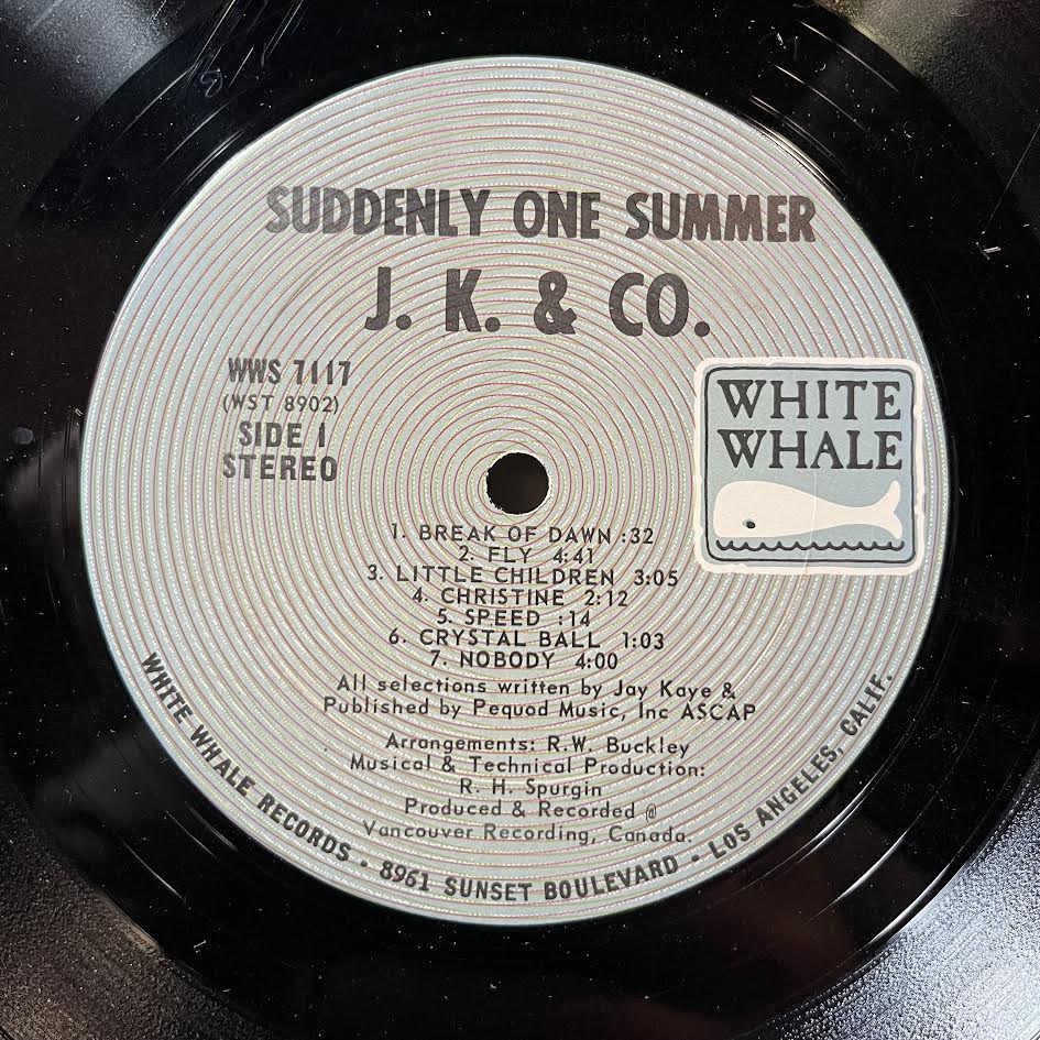 J. K. & Co. - Suddenly One Summer (VINYL) | Very Good (VG) Excellent (EX)